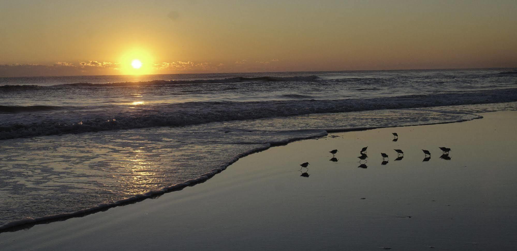 デイトナ・ビーチ・ショアーズ Club Sea Oats By Capital Vacationsモーテル エクステリア 写真